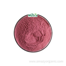 Natural Organic Cherry Berry Extract powder